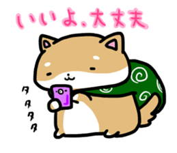 shiitan japsnese midget shiba sticker #7648230