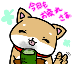 shiitan japsnese midget shiba sticker #7648231