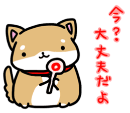 shiitan japsnese midget shiba sticker #7648235