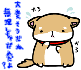 shiitan japsnese midget shiba sticker #7648236