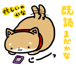 shiitan japsnese midget shiba sticker #7648239