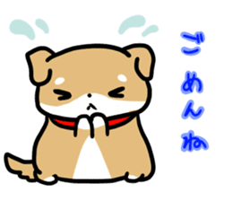 shiitan japsnese midget shiba sticker #7648241