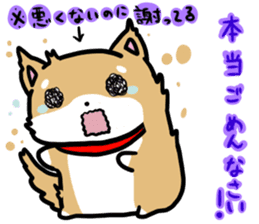 shiitan japsnese midget shiba sticker #7648243