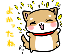 shiitan japsnese midget shiba sticker #7648245