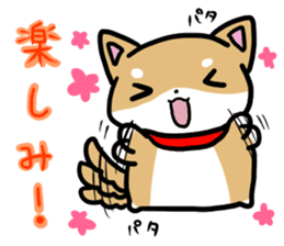 shiitan japsnese midget shiba sticker #7648248