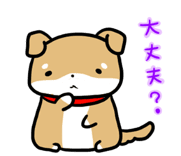 shiitan japsnese midget shiba sticker #7648249