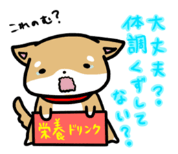 shiitan japsnese midget shiba sticker #7648251