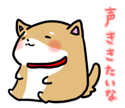 shiitan japsnese midget shiba sticker #7648252