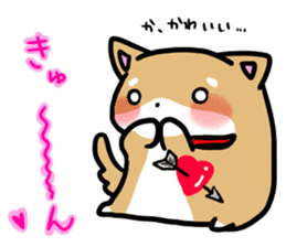 shiitan japsnese midget shiba sticker #7648253