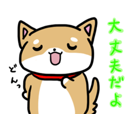shiitan japsnese midget shiba sticker #7648254