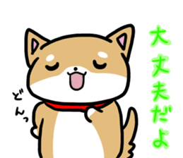 shiitan japsnese midget shiba sticker #7648254