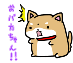 shiitan japsnese midget shiba sticker #7648257