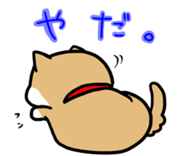 shiitan japsnese midget shiba sticker #7648258