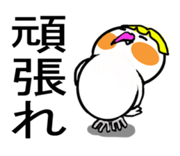 Cheeky parakeet 3 sticker #7649834