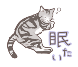 Cat full stickers for cat lover sticker #7651104