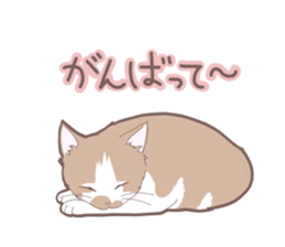 Cat full stickers for cat lover sticker #7651129