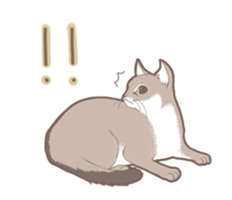 Cat full stickers for cat lover sticker #7651130
