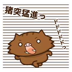 wild boar and daily life