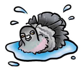 Love and pigeons vol.2 sticker #7652278