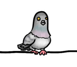 Love and pigeons vol.2 sticker #7652280