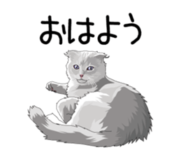 Cat illustrations Sticker sticker #7652820