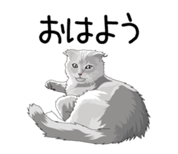 Cat illustrations Sticker sticker #7652820