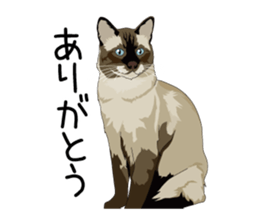 Cat illustrations Sticker sticker #7652822