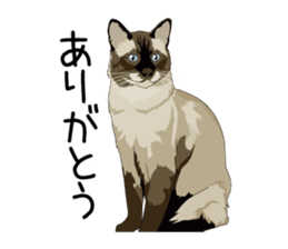 Cat illustrations Sticker sticker #7652822