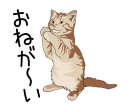 Cat illustrations Sticker sticker #7652824