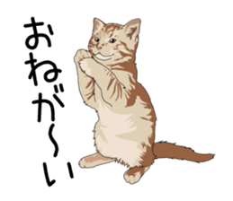 Cat illustrations Sticker sticker #7652824