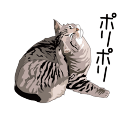 Cat illustrations Sticker sticker #7652825