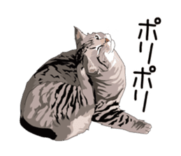 Cat illustrations Sticker sticker #7652825