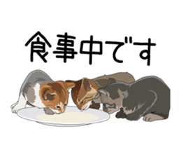 Cat illustrations Sticker sticker #7652826