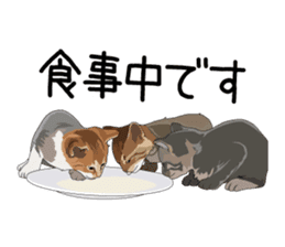 Cat illustrations Sticker sticker #7652826