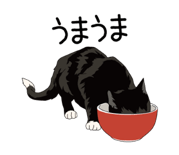 Cat illustrations Sticker sticker #7652827