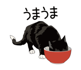 Cat illustrations Sticker sticker #7652827