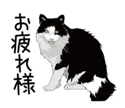 Cat illustrations Sticker sticker #7652829