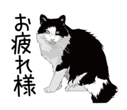 Cat illustrations Sticker sticker #7652829