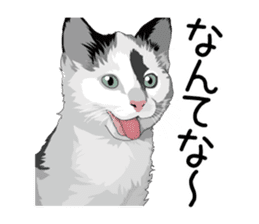 Cat illustrations Sticker sticker #7652831