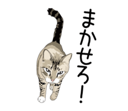 Cat illustrations Sticker sticker #7652832