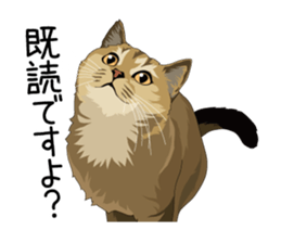 Cat illustrations Sticker sticker #7652833
