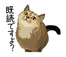 Cat illustrations Sticker sticker #7652833