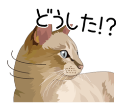 Cat illustrations Sticker sticker #7652834