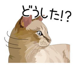 Cat illustrations Sticker sticker #7652834
