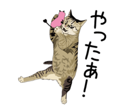 Cat illustrations Sticker sticker #7652835