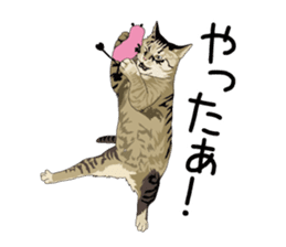 Cat illustrations Sticker sticker #7652835