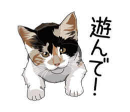 Cat illustrations Sticker sticker #7652838