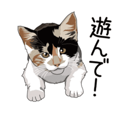 Cat illustrations Sticker sticker #7652838