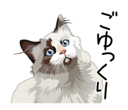 Cat illustrations Sticker sticker #7652839