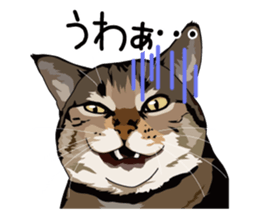 Cat illustrations Sticker sticker #7652840